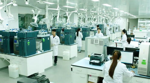 副中心減碳1.8萬(wàn)噸背后的“綠色成績(jī)單” 制造業(yè)轉(zhuǎn)型與供應(yīng)鏈服務(wù)協(xié)同發(fā)力